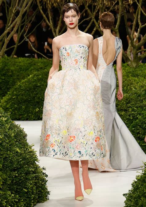 dior 2013 runway|christian dior latest collection.